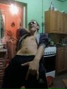 Коля Ларіон фотография #23 (источник - https://vk.com/id88014022)