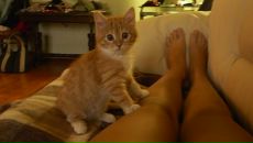 Фотография Белоусовой Инны