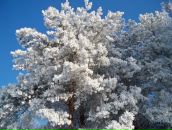 Юля Пустовіт фотография #15 (источник - https://vk.com/id31090927)