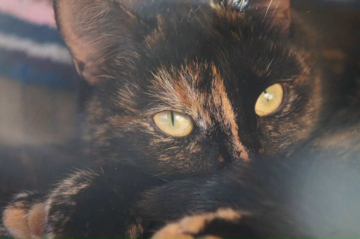 Антон Лебедев фотография #46