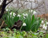 Фотография Казаков Константин