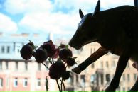 Bella Radenoviћ фотография #37 (источник - https://vk.com/id39098)