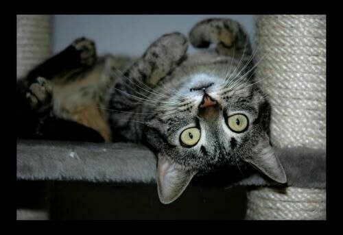 №17, Анастасия Моргачёва, Москва, Россия №17, Анастасия Моргачёва, Москва, Россия