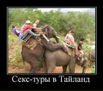 Тетяна Аліфіренко фотография #14 (источник - https://vk.com/id66357014)