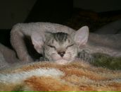 Фотография Кувшиновой Екатерины