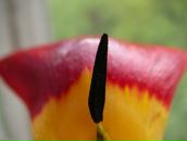 Фотография Батмановой Катерины