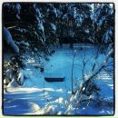 Фотография Ивановой Марины