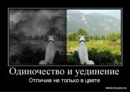 Дмитрий Шанин фотография #41 (источник - https://vk.com/id578933)