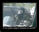 Іван Заграй фотография #5 (источник - https://vk.com/id39058397)
