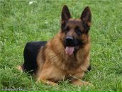 Фотография Федосовой Ирины