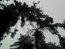 Василинка Бігун фотография #32 (источник - https://vk.com/id114353675)