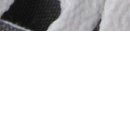 Даша Матинян фотография #35 (источник - https://vk.com/id34196743)