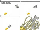 Тарас Виксенко фотография #33 (источник - https://vk.com/id5901794)