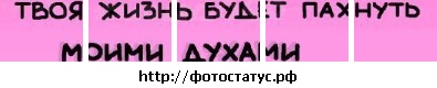 №7, Алеся Бор, Ставрополь №7, Алеся Бор, Ставрополь