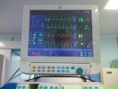 Фотография Саяпина Мария