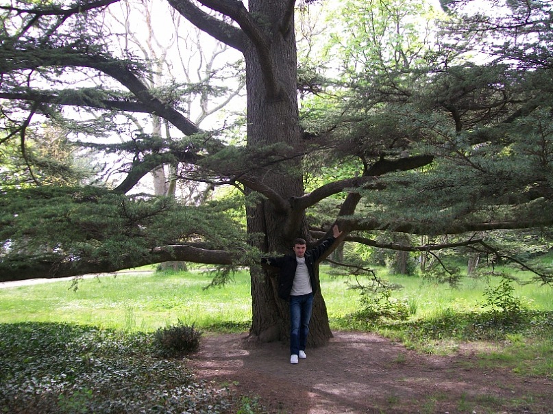 Игорь Яненко фотография #38