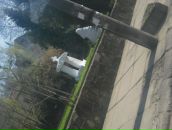 Каріна Пастущак фотография #17 (источник - https://vk.com/id97610268)