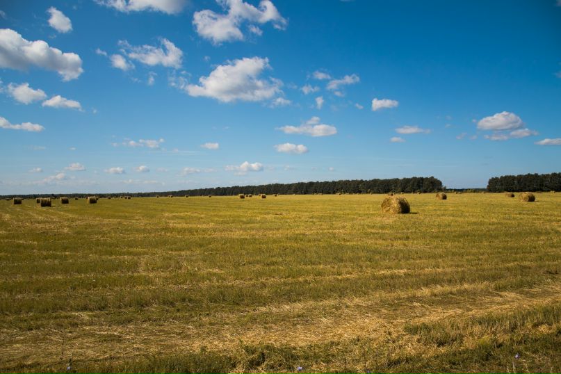 Дмитрий Клочков фотография #41