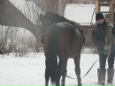Фотография Шеко Ольги