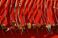 Фотография Остапенко Алёны