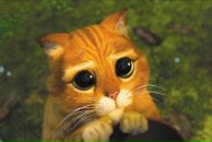 Аліна Бакайса фотография #37 (источник - https://vk.com/id102024309)