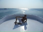 Фотография Tulilintu Leena