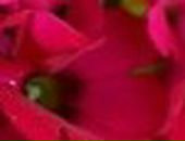 Ірина Бобиляк фотография #10 (источник - https://vk.com/id8948868)