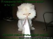 Фотография Валентина Дедурова