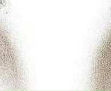 Вася Петя фотография #4 (источник - https://vk.com/id29331749)