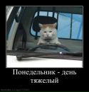 Вікіца Ангел фотография #37 (источник - https://vk.com/id86821418)