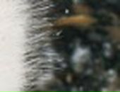 Иван Опарин фотография #45 (источник - https://vk.com/id200144)