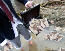 Іванка Мадай фотография #15 (источник - https://vk.com/id82935648)