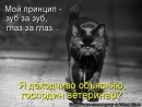 Андруся:)) Лозинська фотография #21 (источник - https://vk.com/id121655750)