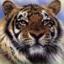 Фотография Бобылева Полина