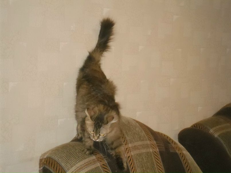 Женя Дмитриев фотография #34