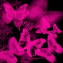 Марія Хай фотография #42 (источник - https://vk.com/id162562485)