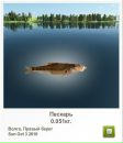 Віталій Пастрама фотография #23 (источник - https://vk.com/id34071171)