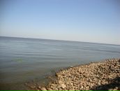 Фотография Тимохиной Маргариты