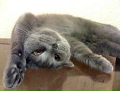 Еріс Волчиц фотография #22 (источник - https://vk.com/id86335377)