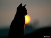 Наталія Осташевська фотография #3 (источник - https://vk.com/id13253654)