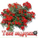 Ліда Маличкович фотография #41 (источник - https://vk.com/id162416393)