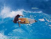 Фотография Истомина Дмитрия