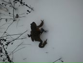 Βалерий Κотов фотография #22 (источник - https://vk.com/id108016378)