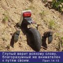 Андрій Лапатін фотография #2 (источник - https://vk.com/id162273955)