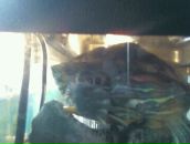 Лілія Горденко-Кутень фотография #35 (источник - https://vk.com/id61926689)