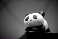 Фотография Астахова Александра