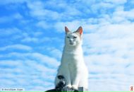 Фотография Сахаровской Татьяны