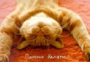 Фотография Селезня Димы