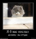 Сергій Мележик фотография #45 (источник - https://vk.com/id6452079)