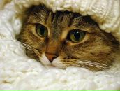 Фотография Арсеньевой Саши